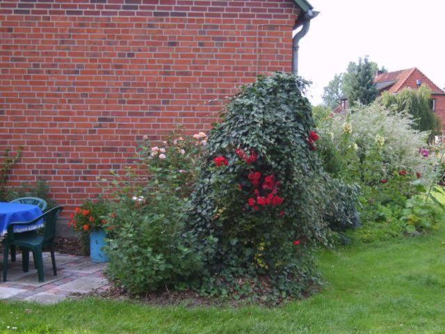 Ferienwohnung Landblick Nahrendorf Exterior foto